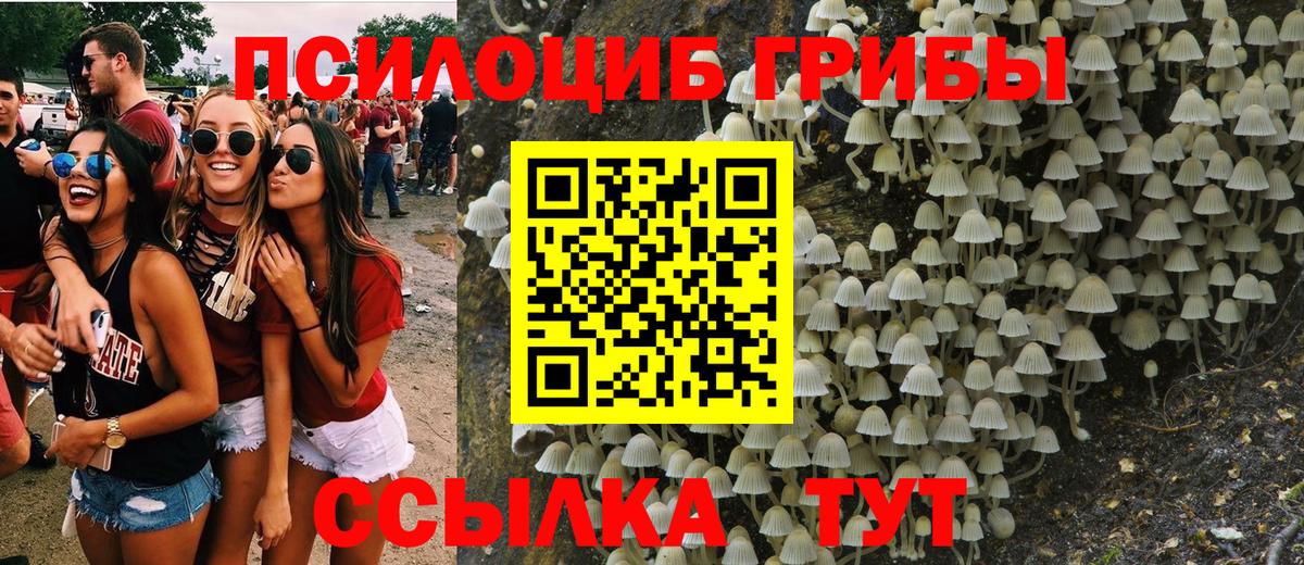 Псилоцибиновые грибы мицелий Красноармейск